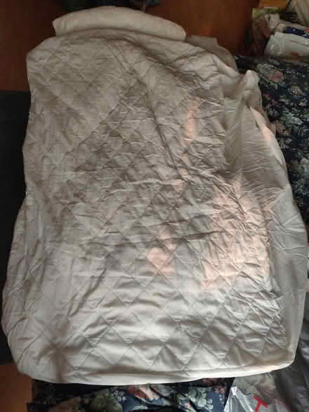 Photo of free Mattress protection 60X84 inches (Harringay N4) #2