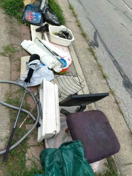 Photo of free CURBSIDE purge (50th terr & Nieman Shawnee ks) #2