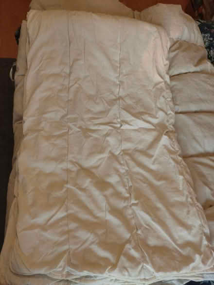 Photo of free Single quilt 44X73.. Light weight (Harringay N4) #2