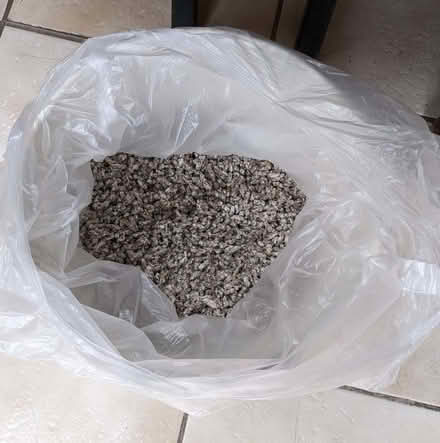 Photo of free Half a bag of Cat Litter + nappy sacks and inco pads (Pollards Hill CR4) #1