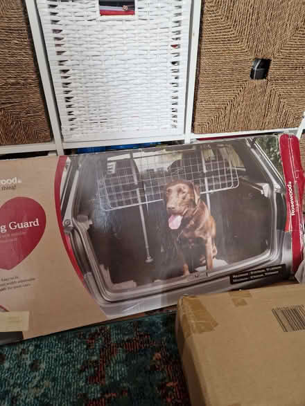 Photo of free Dog car gaurd (Wandsworth) #1