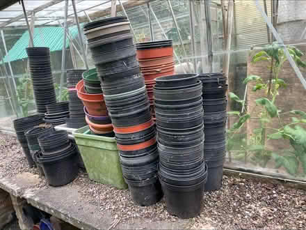 Photo of free Plant pots, hundreds (Kinver DY7) #3