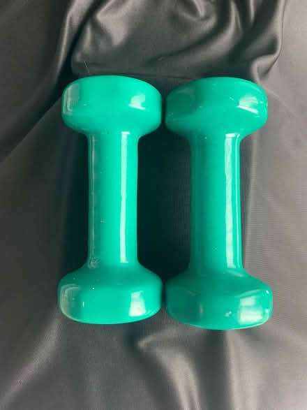 Photo of free 3 pound hand weights (13 Mile & Haggerty) #1