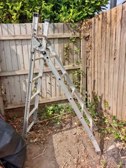 Photo of free Extendable ladder (Murrow) #1
