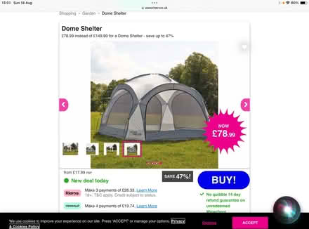 Photo of free Dome tent (Nest Farm area NN8) #2