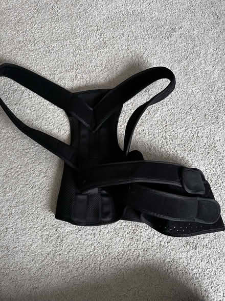 Photo of free Posture support (Warfield, Bracknell, RG42) #1