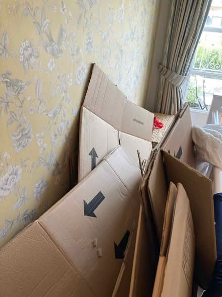 Photo of free Cardboard boxes (SW1V) #3