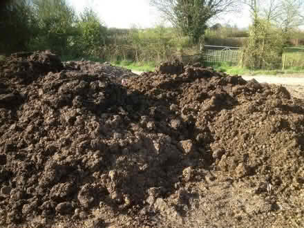 Photo of Well rotted manure (Bishop's Stortford CM23) #1