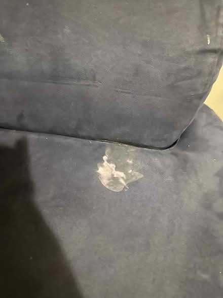 Photo of free Kids couch (Boston) #2