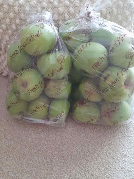 Photo of free Bramley apples (Elmhurst WS13) #1