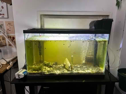 Photo of free Fish tank + Supplies (Midtown East) #1