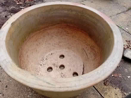 Photo of free Large ceramic garden planter (West Ayton) #3