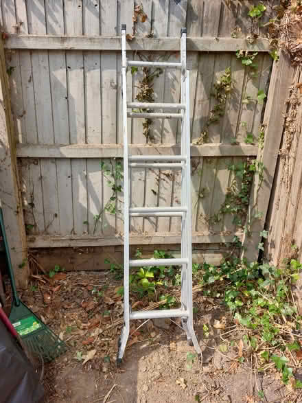 Photo of free Extendable ladder (Murrow) #2