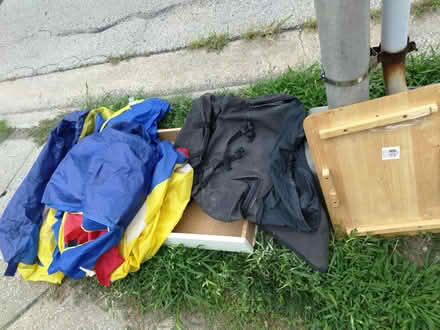 Photo of free CURBSIDE purge (50th terr & Nieman Shawnee ks) #1