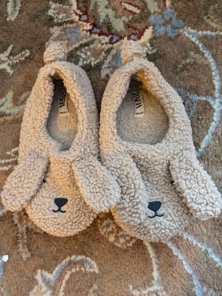 Photo of free Size 36/37 dog slippers (E. Midtown) #1