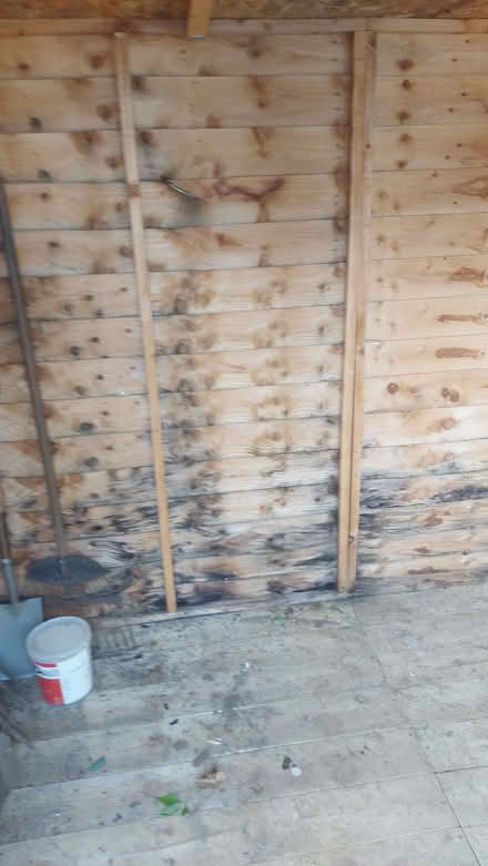 Photo of free Garden shed 8x6 (Neithrop OX16) #3