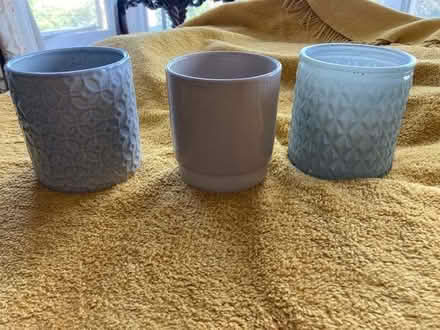 Photo of free Decorative plant pots (Malvern WR14) #1
