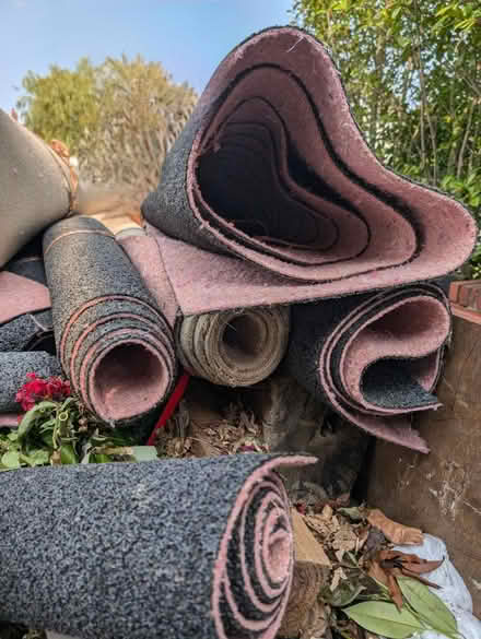 Photo of free Rolls of carpet underlay (Shenfield, CM15) #4