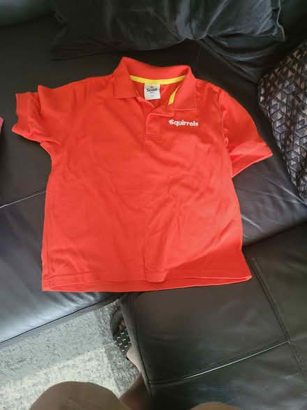 Photo of free Scout squirrels t shirt (Slough, SL2 2QA) #1
