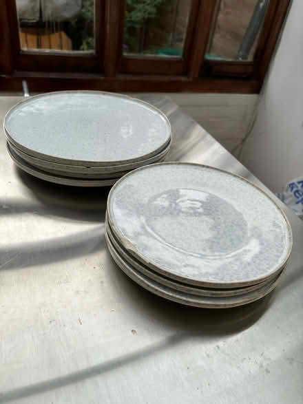 Photo of free 8 x plates (E11) #1