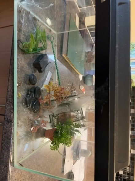 Photo of free Fish tank (Hertford SG14) #1