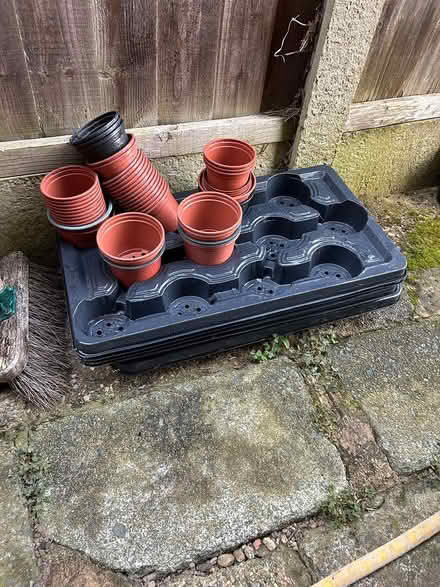 Photo of free Small plant pots and trays (Hoddesdon EN11) #1