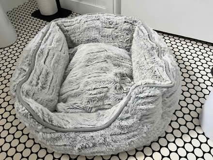 Photo of free Cat Bed (CT5) #1