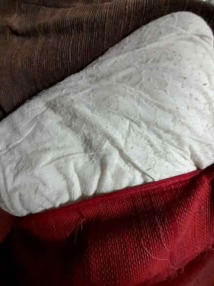 Photo of Cushion fillers (Maidstone ME15) #1