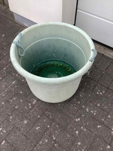 Photo of free Large trug (Germoe TR20) #1