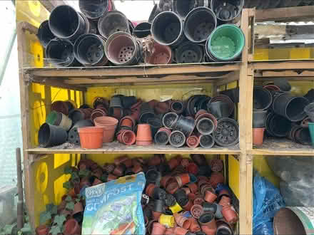 Photo of free Plant pots, hundreds (Kinver DY7) #2