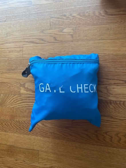 Photo of free Gate Check Stroller Bag (East Cobb/ Marietta) #2