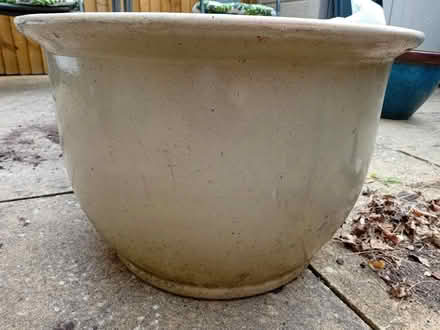 Photo of free Large ceramic garden planter (West Ayton) #1
