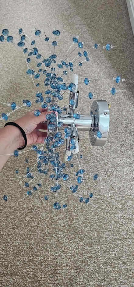 Photo of free Ceiling Light (Hailsham BN27) #1