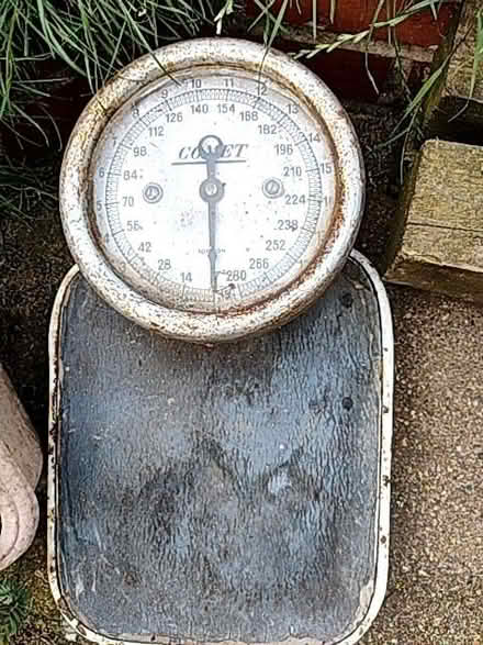 Photo of free Scales (Dudbridge GL5) #1