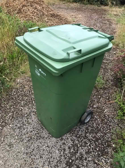 Photo of free Green garden waste bin (Meersbrook, S8) #1