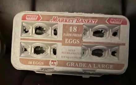 Photo of free 15 egg cartons - for 18 large eggs (West Townsend) #1