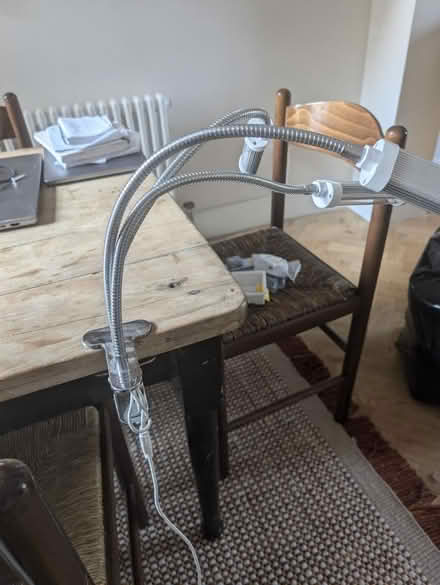 Photo of free Grow light (Bethnal Green E2) #2