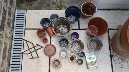 Photo of free Plant pots (Abbeville Village SW12) #2