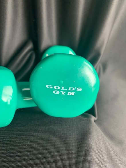 Photo of free 3 pound hand weights (13 Mile & Haggerty) #2