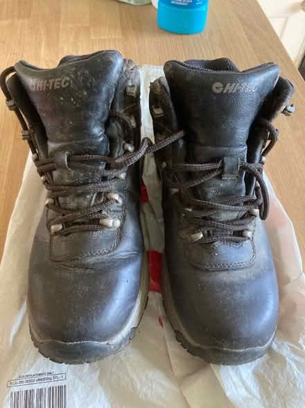 Photo of free Walking boots size 5 (Walton Cardiff GL20) #1