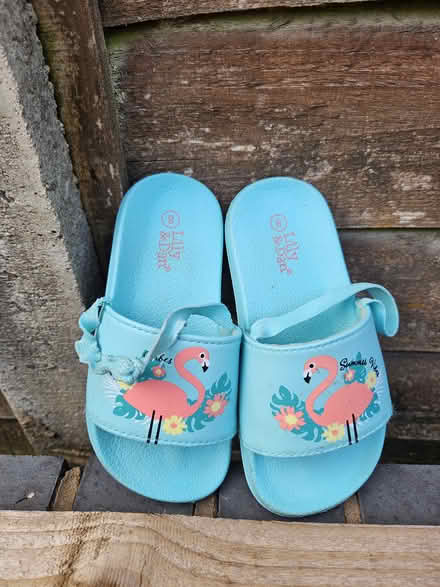 Photo of free Lilly & Dean Sandals (Hall green) #3
