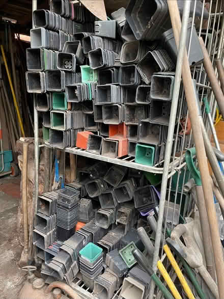 Photo of free Plant pots, hundreds (Kinver DY7) #1