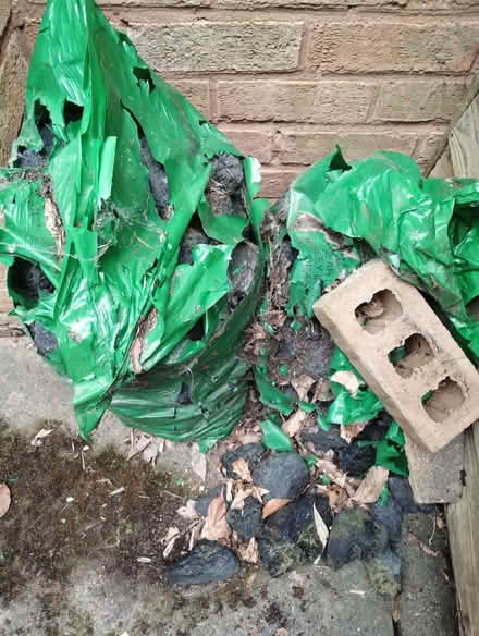 Photo of free Coal that has been stored outdoors for many years! (Dorridge B93) #1