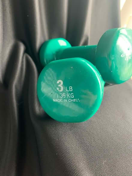Photo of free 3 pound hand weights (13 Mile & Haggerty) #3
