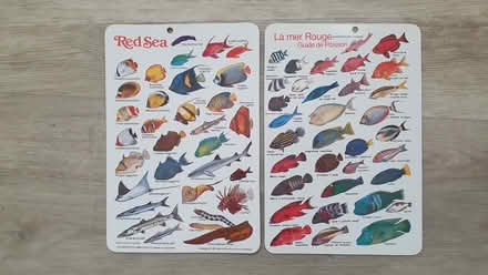 Photo of free Red Sea Fish Guides (Canterbury, CT2) #1