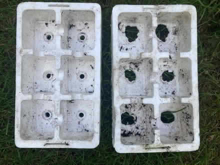 Photo of free Polystyrene seed trays (Norbiton KT1) #1