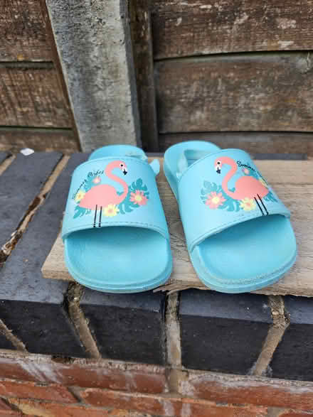 Photo of free Lilly & Dean Sandals (Hall green) #1