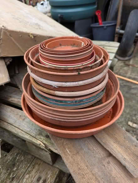 Photo of free Plant saucers (just over 20 in various sizes) (Harrogate HG2) #1