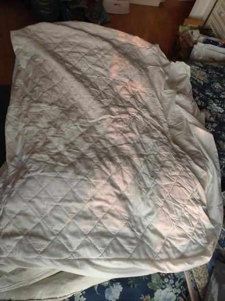 Photo of free Mattress protection 60X84 inches (Harringay N4) #1