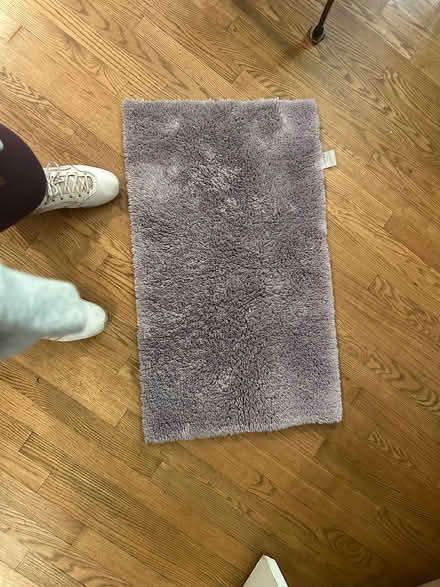 Photo of free rug, ceiling light, file holder (Glenn Dale, MD) #3